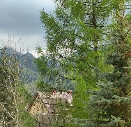 Willa Koscielisko * Kościelisko