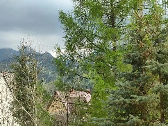 Willa * 코스실리스코