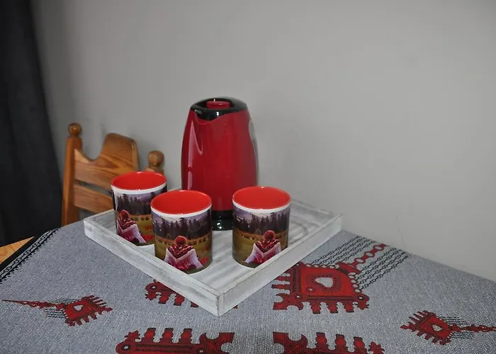 Willa * Kościelisko