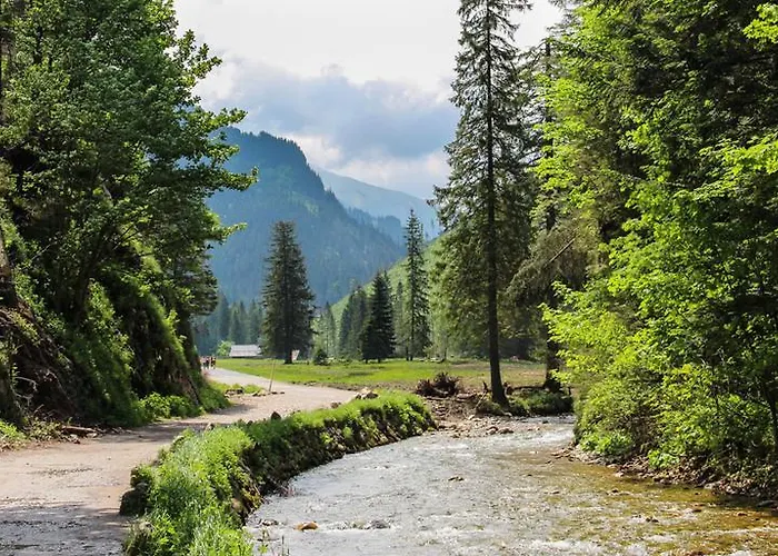 Willa 코스실리스코